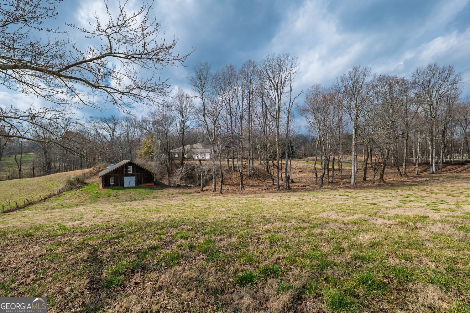 250 Frank Bruce Road Dawsonville - Photo 110
