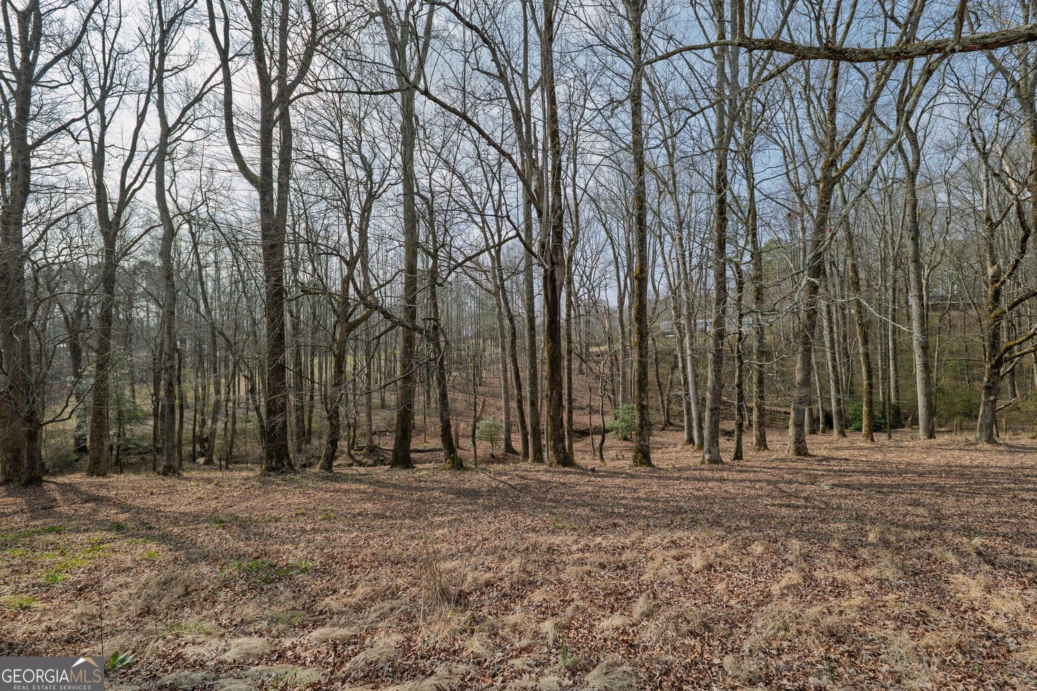 250 Frank Bruce Road Dawsonville - Photo 94