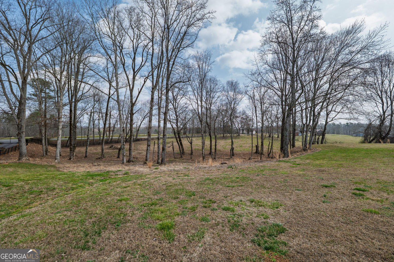 250 Frank Bruce Road Dawsonville - Photo 95