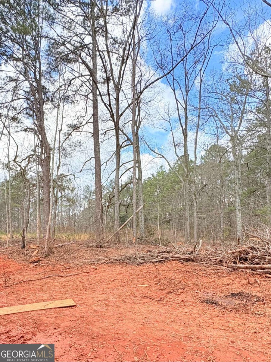 4013 Jersey Covington Road Covington - Photo 24