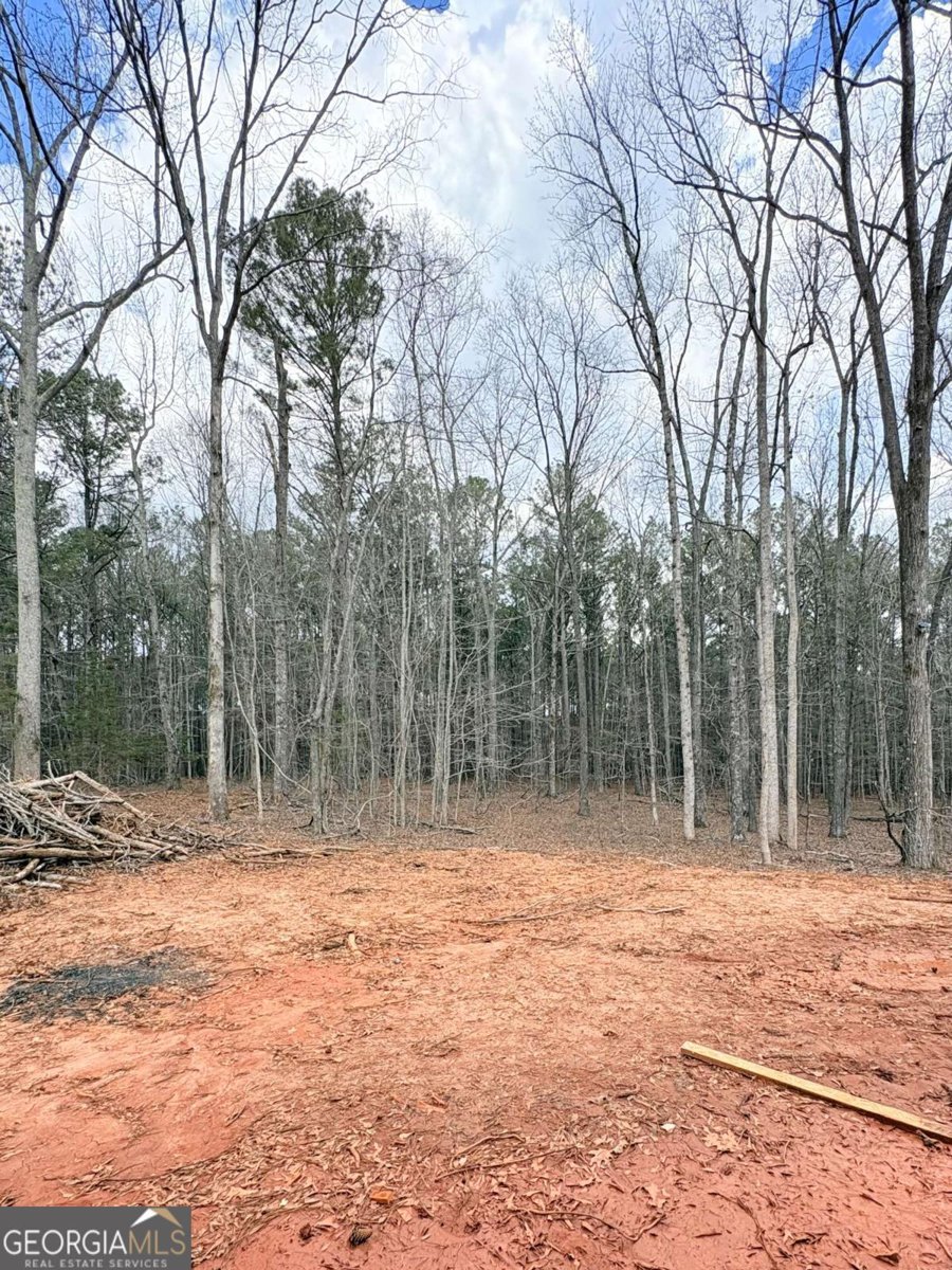 4013 Jersey Covington Road Covington - Photo 25