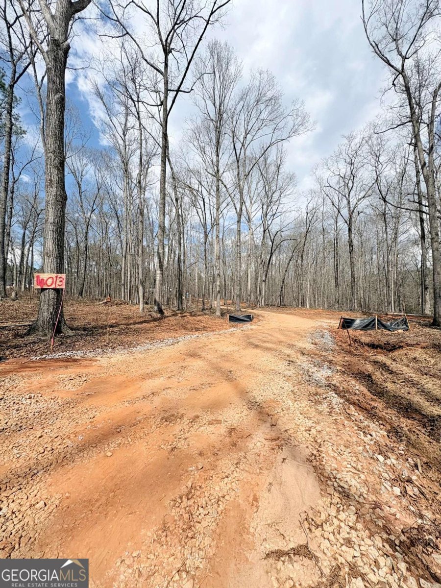 4013 Jersey Covington Road Covington - Photo 27