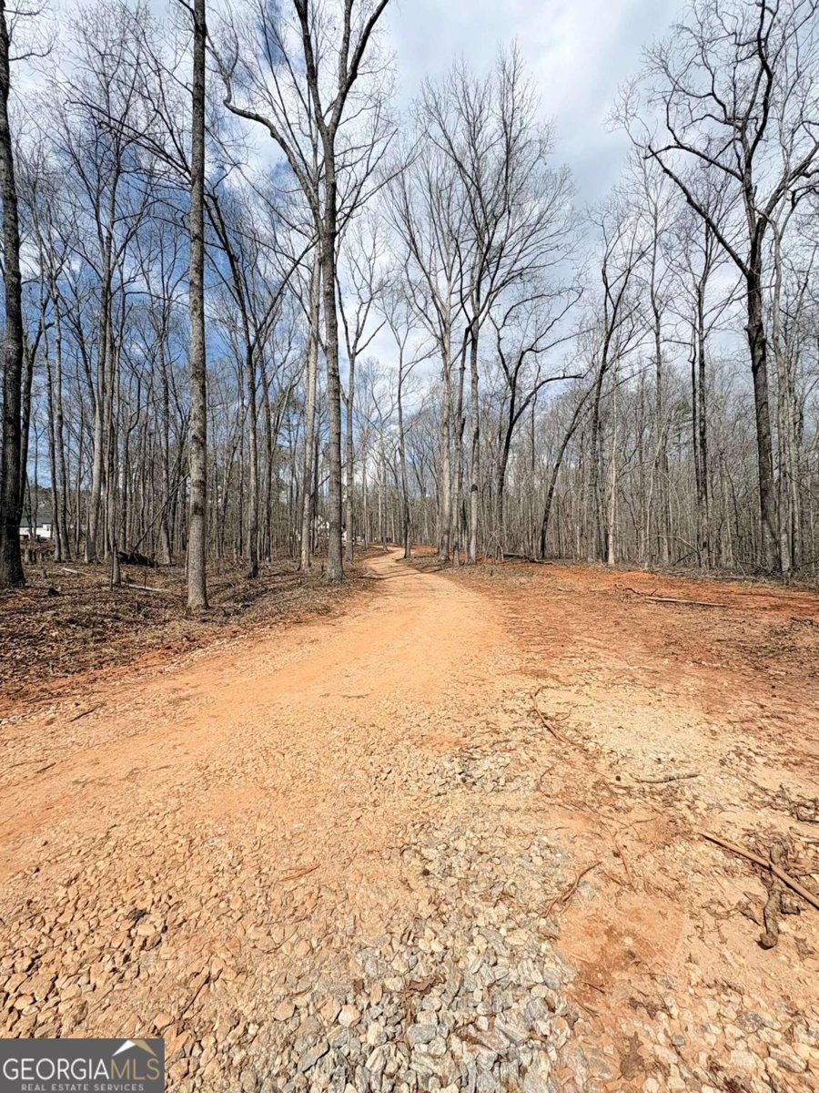 4013 Jersey Covington Road Covington - Photo 28