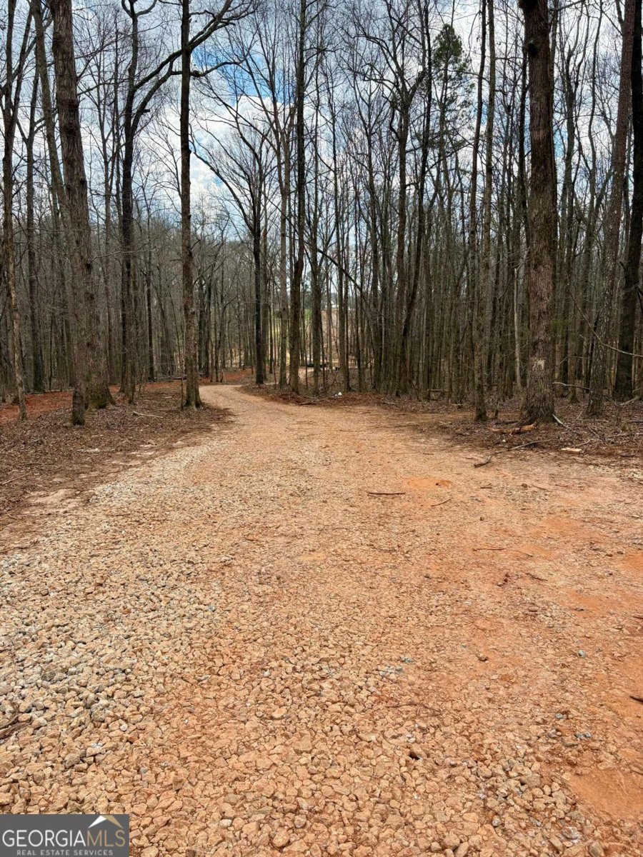 4013 Jersey Covington Road Covington - Photo 29