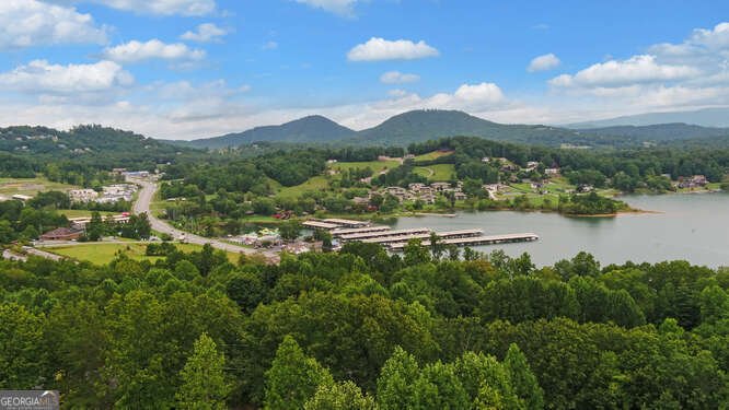 1130 Buckeye Lane Hiawassee - Photo 72