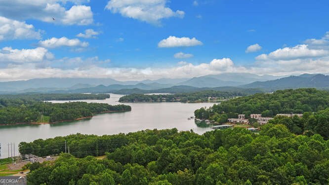 1130 Buckeye Lane Hiawassee - Photo 73