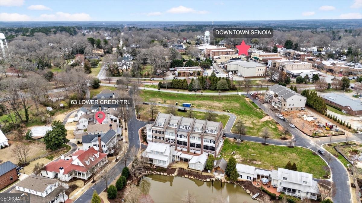 63 Lower Creek Trail Senoia - Photo 38