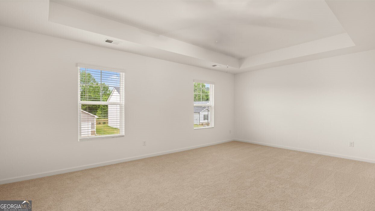 93 White Spruce Way Newnan - Photo 25