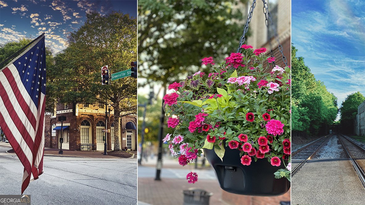 93 White Spruce Way Newnan - Photo 39