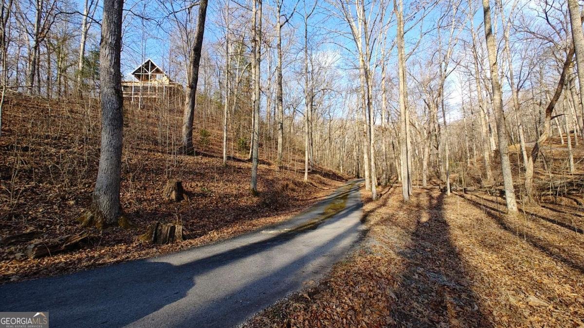 236 Grace Drive Blue Ridge - Photo 26