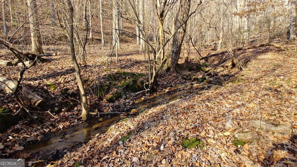 236 Grace Drive Blue Ridge - Photo 27