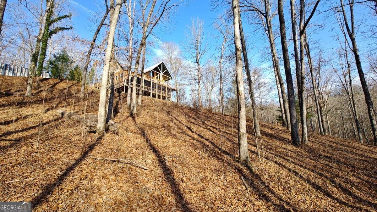 236 Grace Drive Blue Ridge - Photo 30