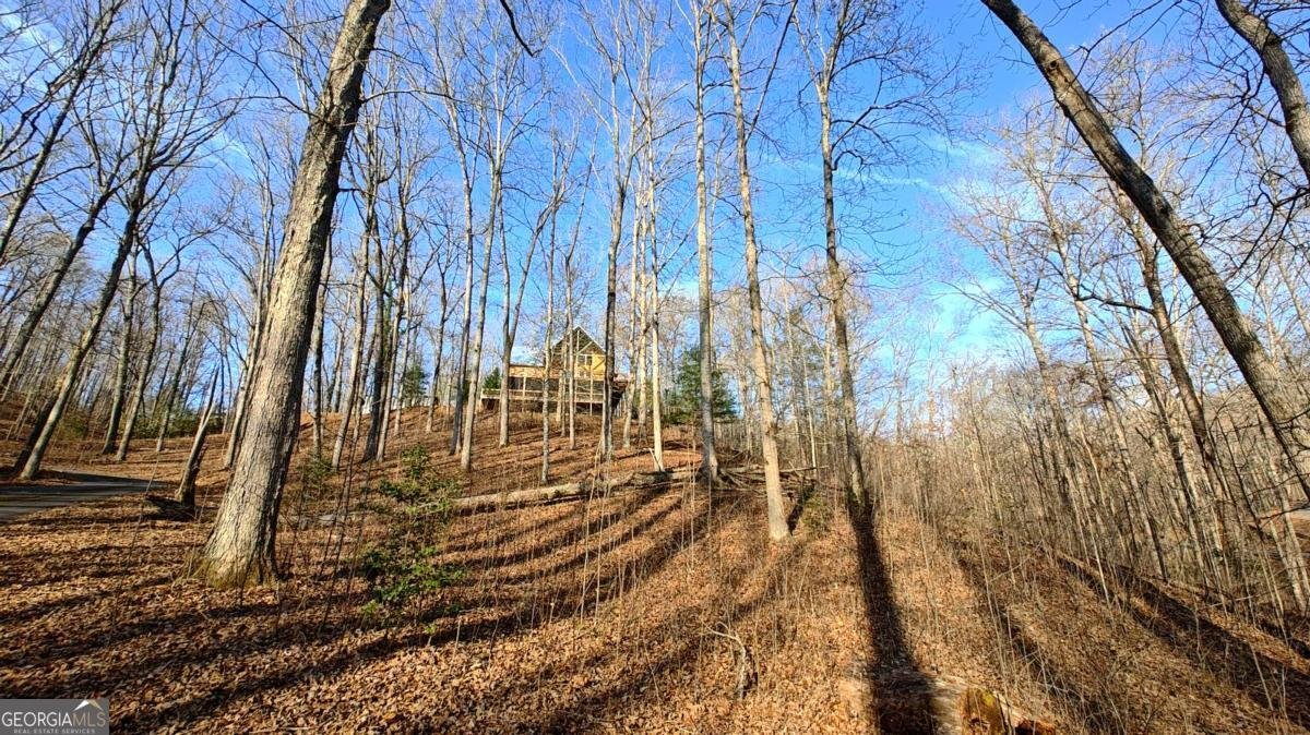 236 Grace Drive Blue Ridge - Photo 31