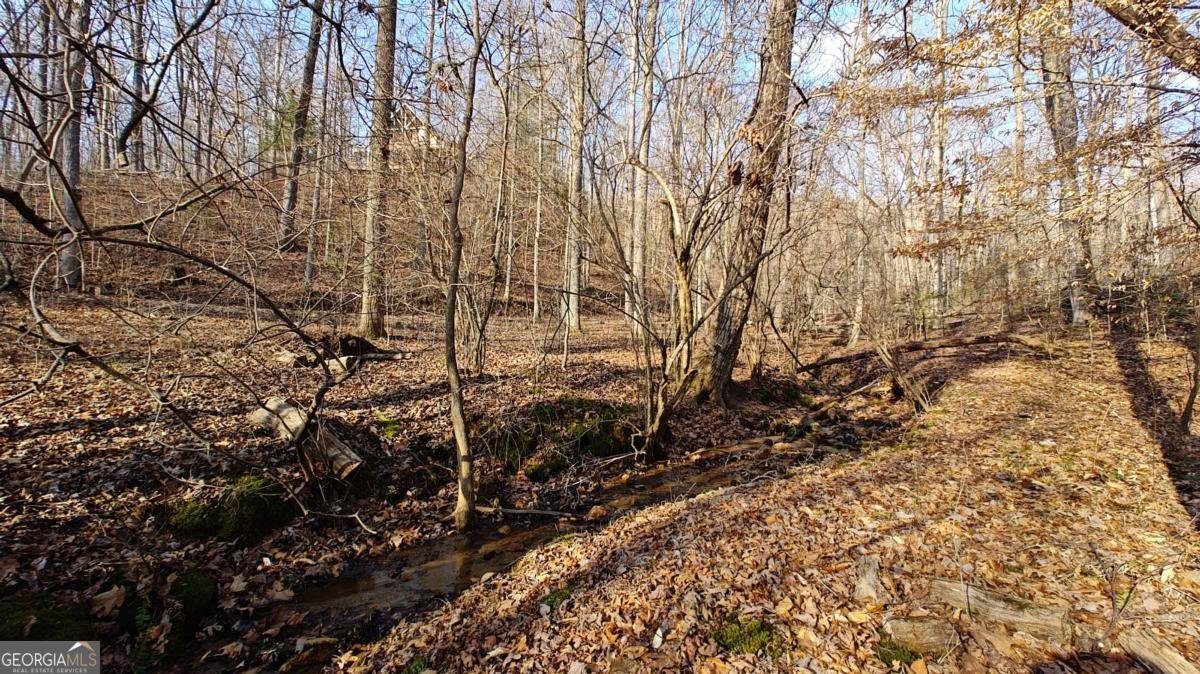 236 Grace Drive Blue Ridge - Photo 32