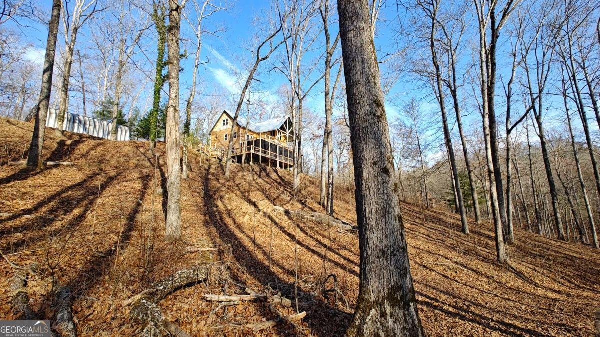 236 Grace Drive Blue Ridge - Photo 33