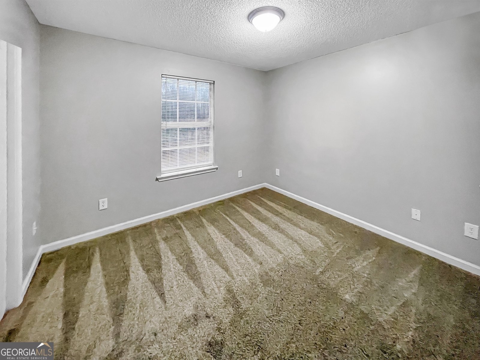 251 Autumn Ridge Court Gray - Photo 23