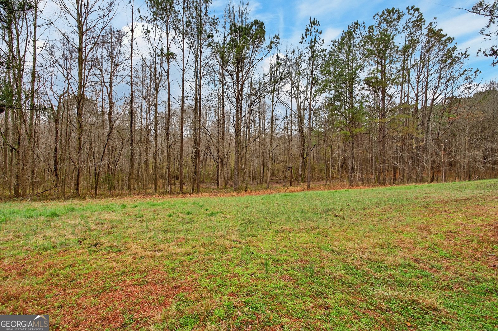 1553 Walkers Mill Road Griffin - Photo 31