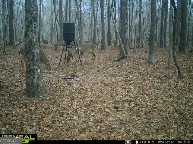 1553 Walkers Mill Road Griffin - Photo 32