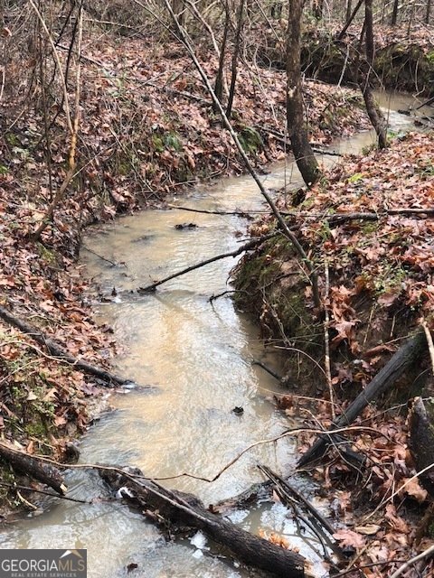 1553 Walkers Mill Road Griffin - Photo 34