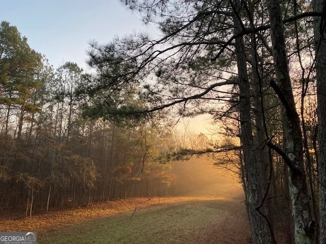 1553 Walkers Mill Road Griffin - Photo 36