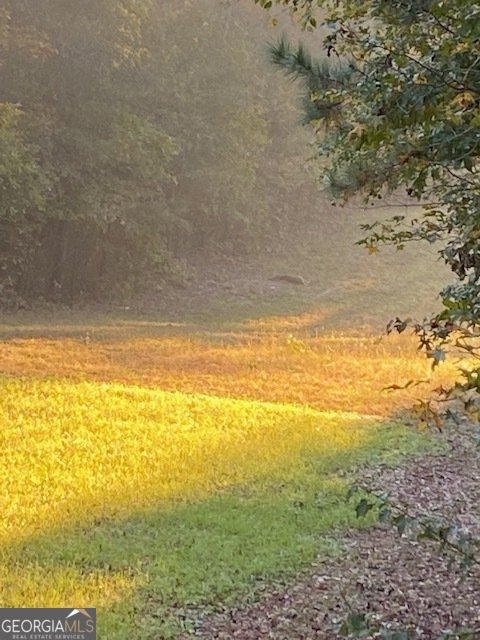 1553 Walkers Mill Road Griffin - Photo 37