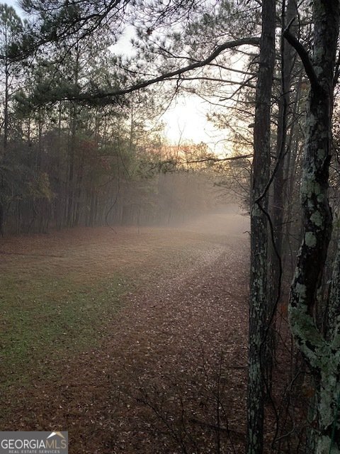 1553 Walkers Mill Road Griffin - Photo 38