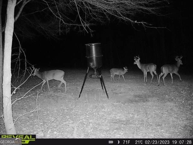 1553 Walkers Mill Road Griffin - Photo 39