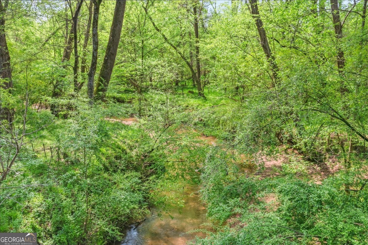 191 Thoroughbred Run Hoschton - Photo 74