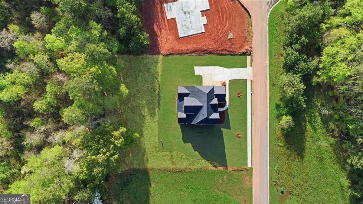 191 Thoroughbred Run Hoschton - Photo 79