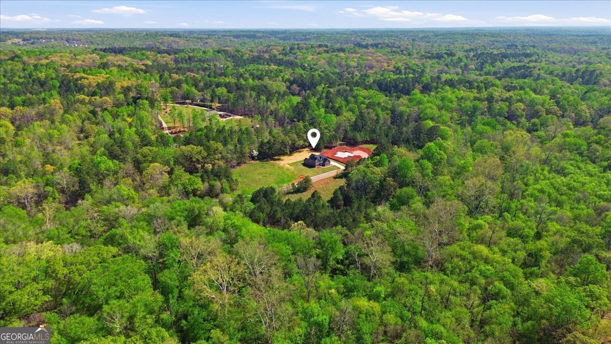 191 Thoroughbred Run Hoschton - Photo 82