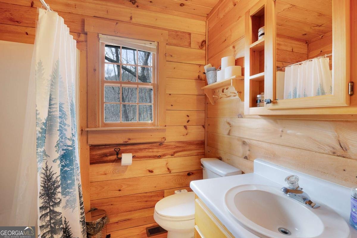 173 Mountain Laurel Lane Ellijay - Photo 28