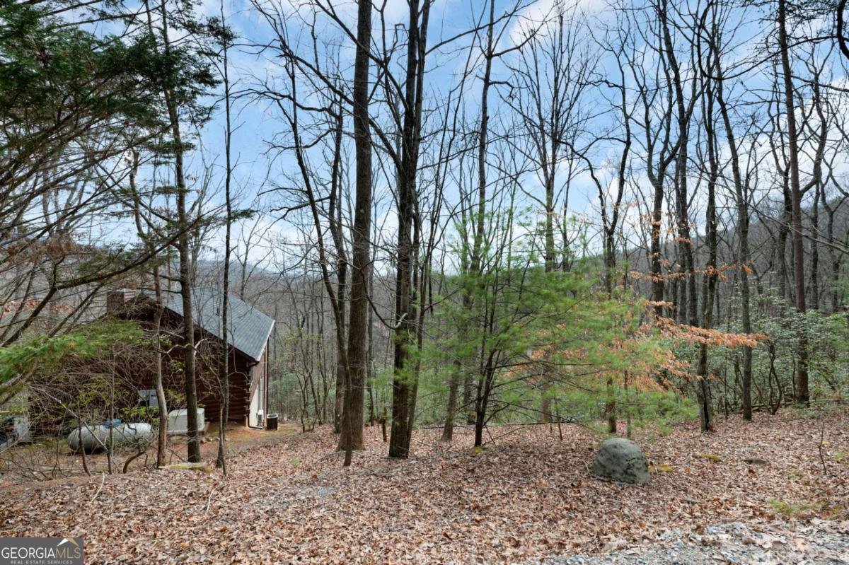 173 Mountain Laurel Lane Ellijay - Photo 43