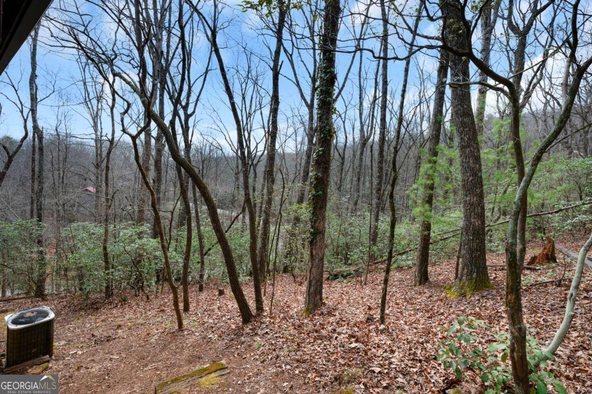 173 Mountain Laurel Lane Ellijay - Photo 44