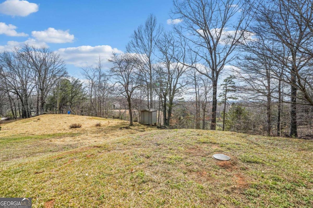 701 Hightower Church Road Dahlonega - Photo 28