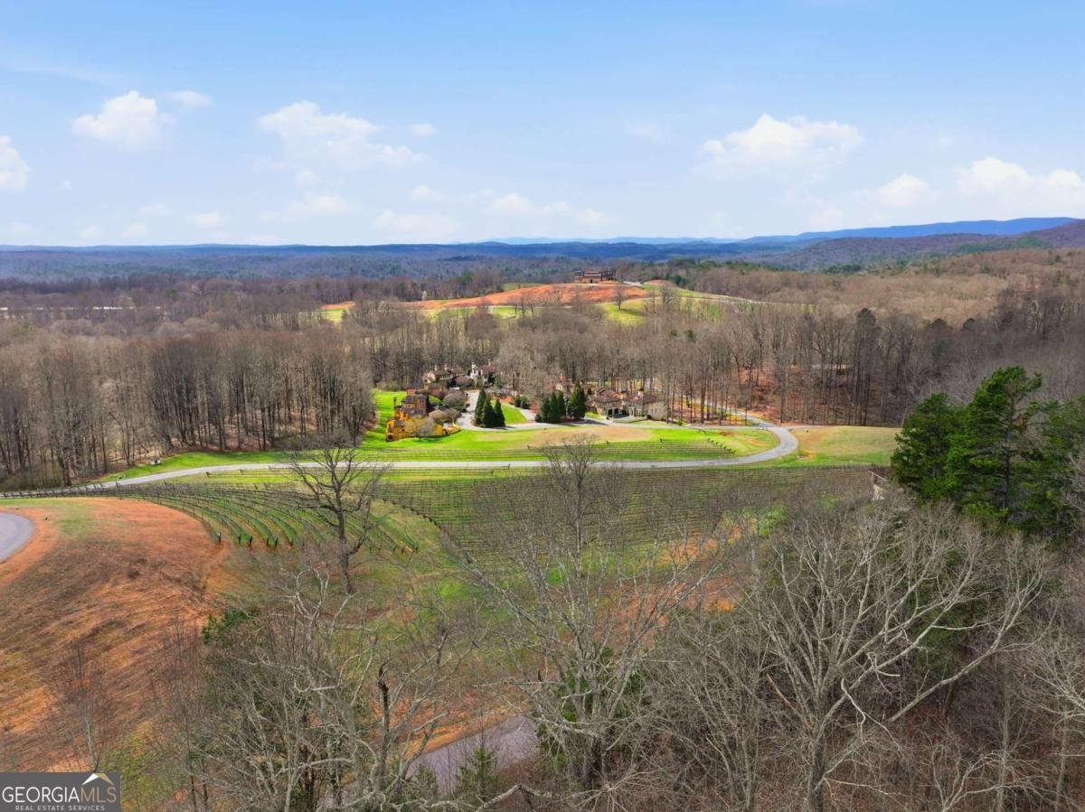 701 Hightower Church Road Dahlonega - Photo 29