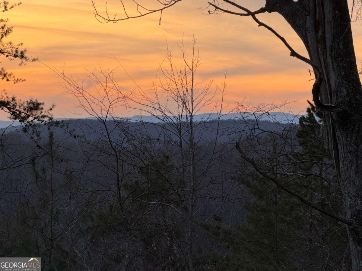 701 Hightower Church Road Dahlonega - Photo 35