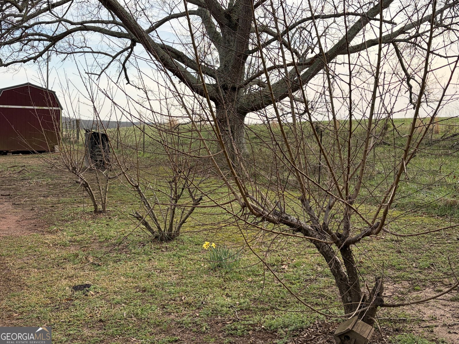 315 Clouds Creek Road Crawford - Photo 10