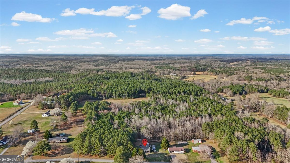 907 Stringer Road Rockmart - Photo 56