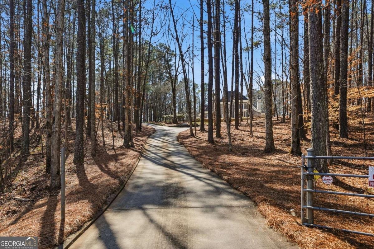 2785 Sixes Road Canton - Photo 86