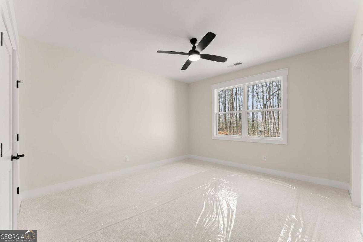 1178 Pinnacle Drive Hoschton - Photo 53