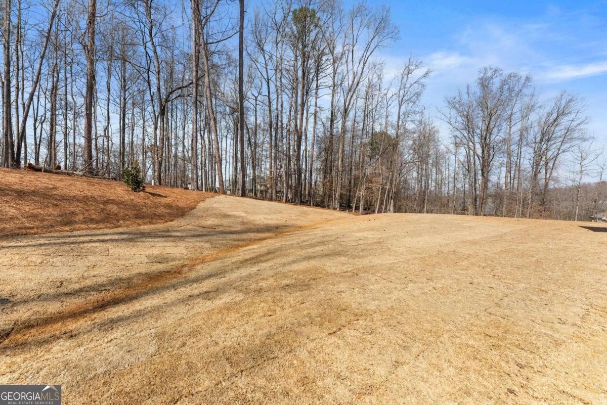 1178 Pinnacle Drive Hoschton - Photo 64