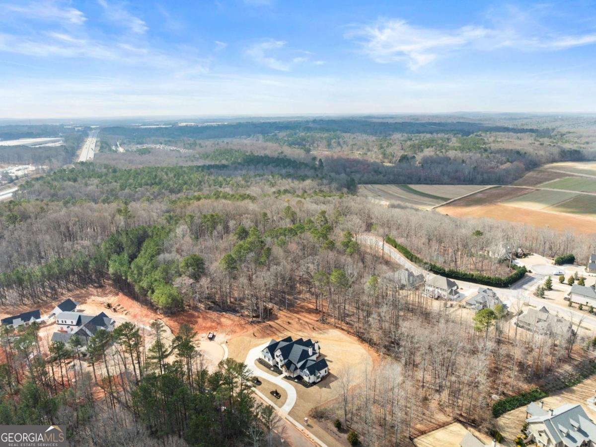 1178 Pinnacle Drive Hoschton - Photo 81