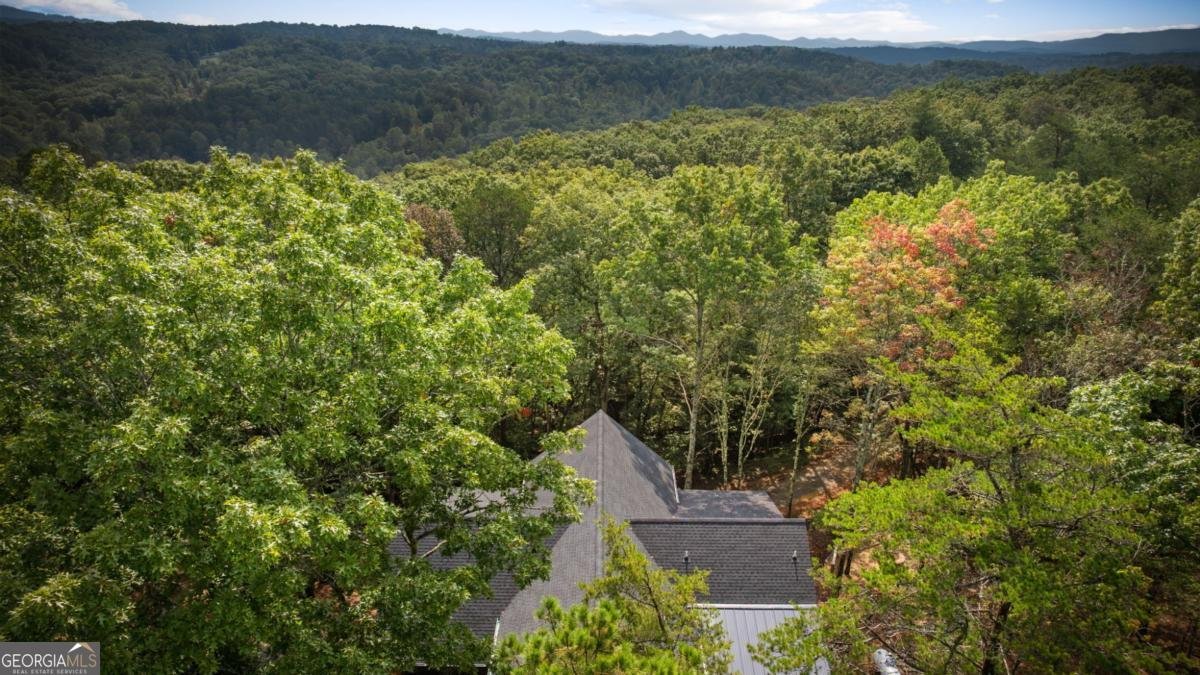 164 Brook Lane Mineral Bluff - Photo 33