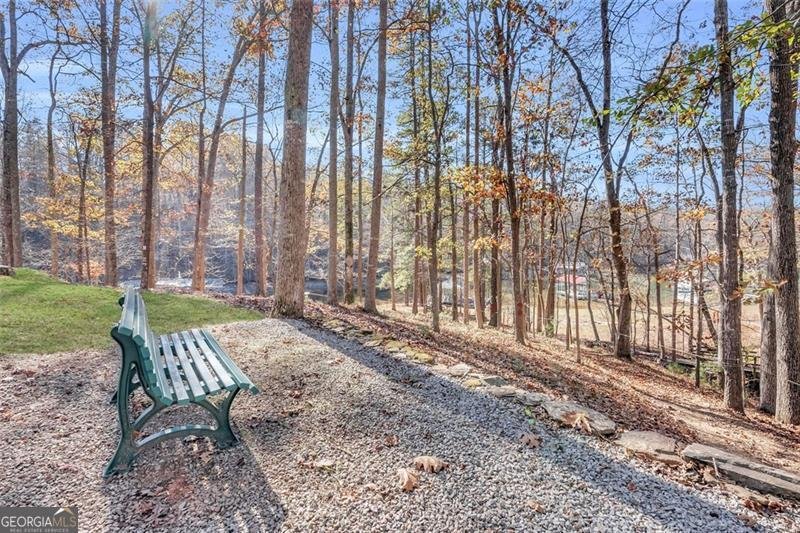 6409 EVA Road Flowery Branch - Photo 40