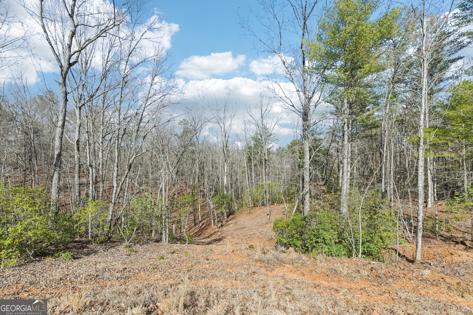 687 River Highlands Road Dahlonega - Photo 45