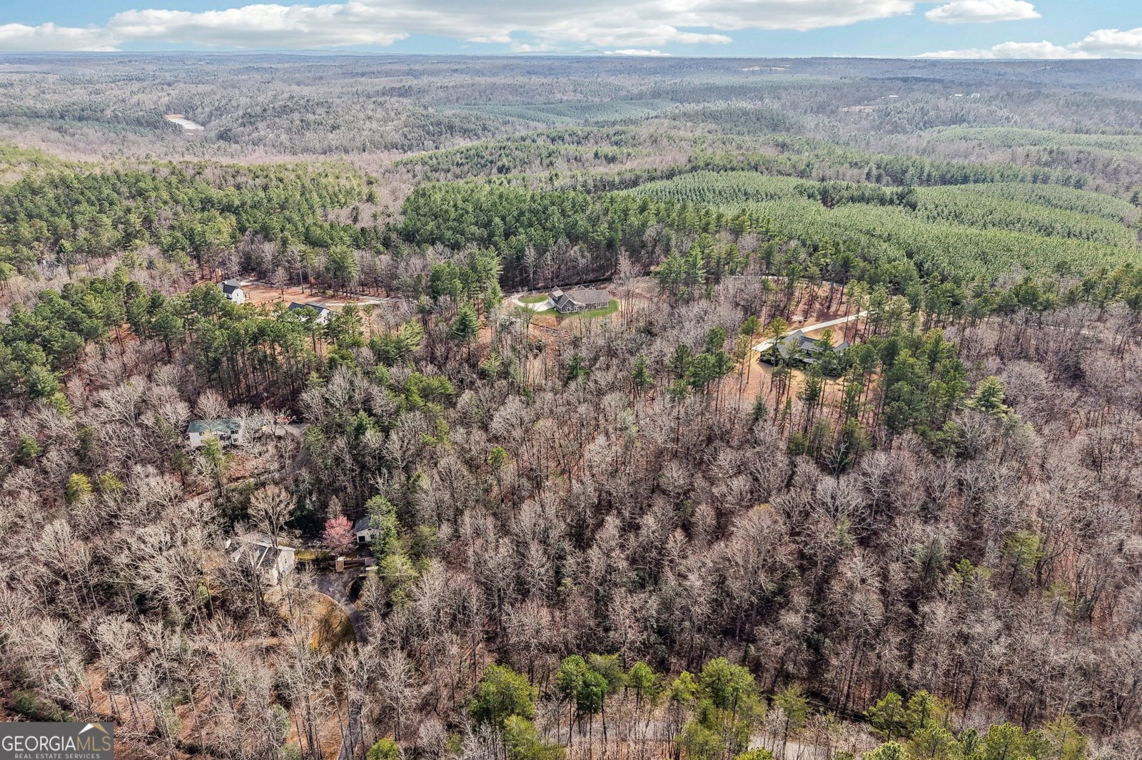 687 River Highlands Road Dahlonega - Photo 57