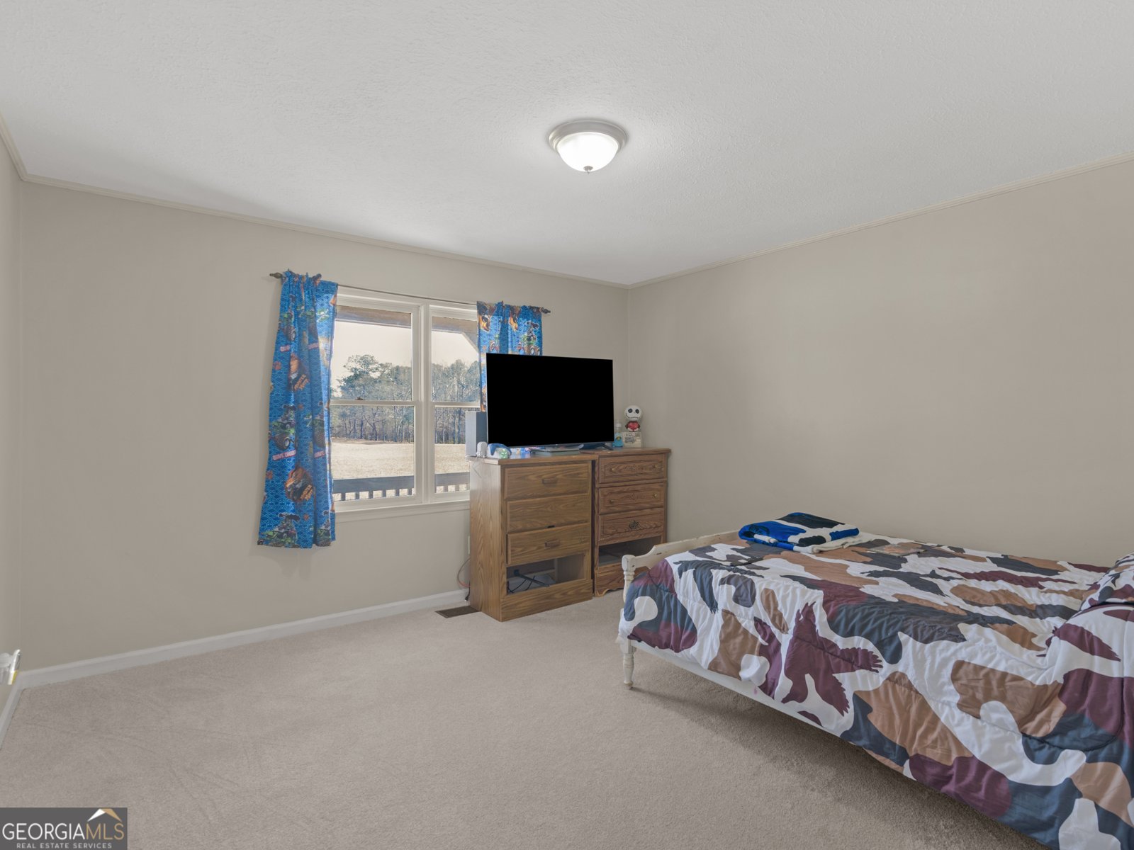 395 Country Kitchen Road Barnesville - Photo 27