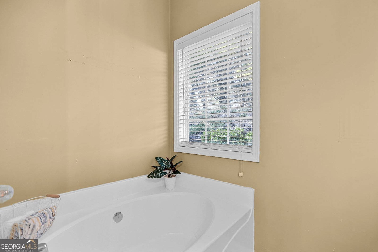 214 Meadow Run Carrollton - Photo 24