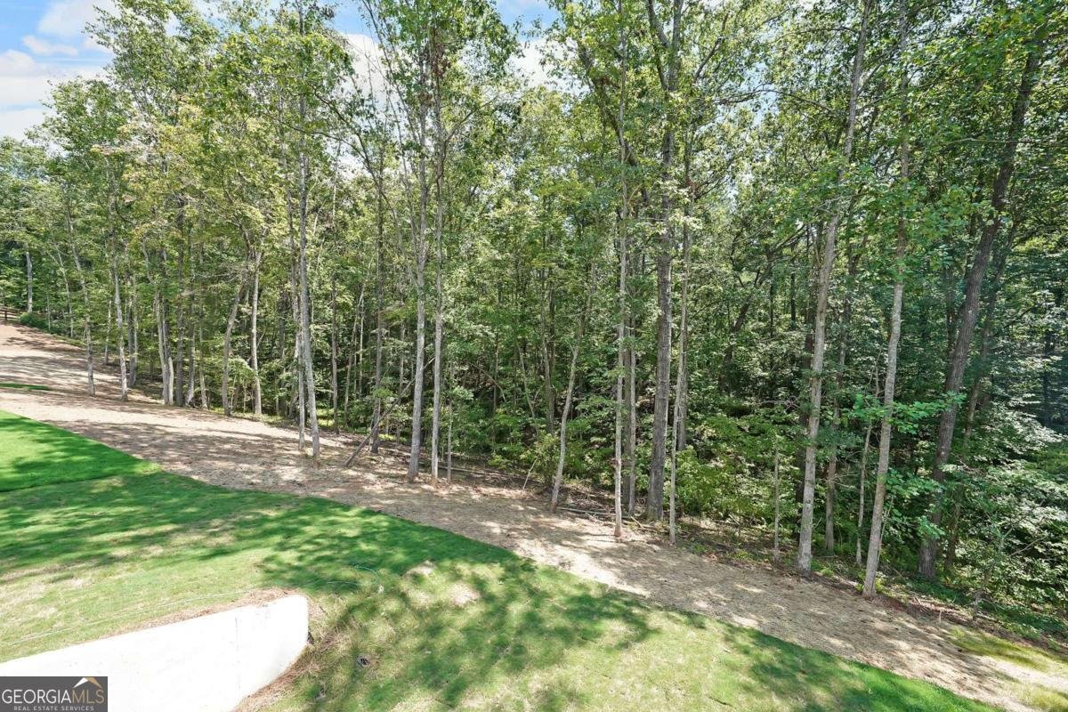 235 West Woods Drive Dahlonega - Photo 24