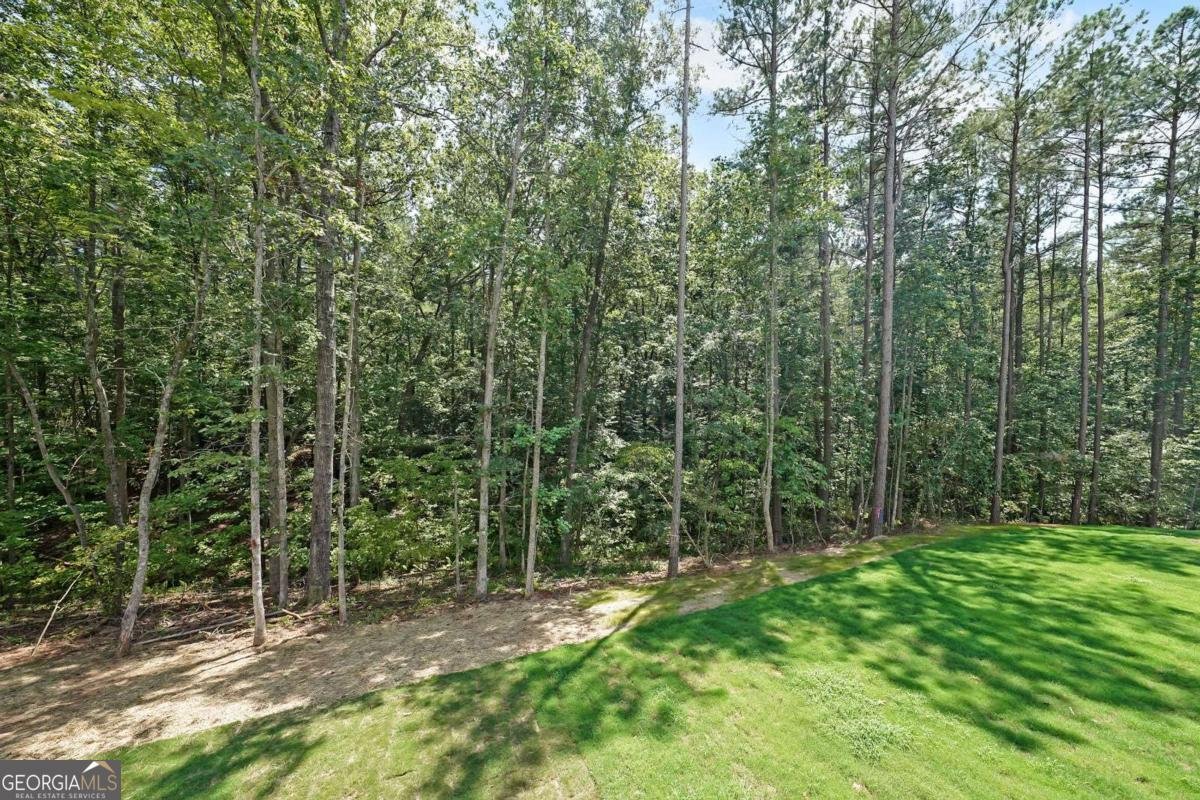 235 West Woods Drive Dahlonega - Photo 25